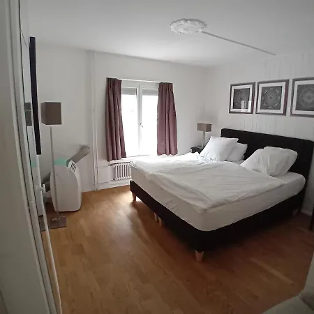 Stylish Flat In The Heart Of Zurich's Old 公寓 苏黎世