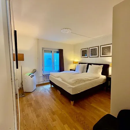 Apartment Stylish Flat In The Heart Of Zurich's Old